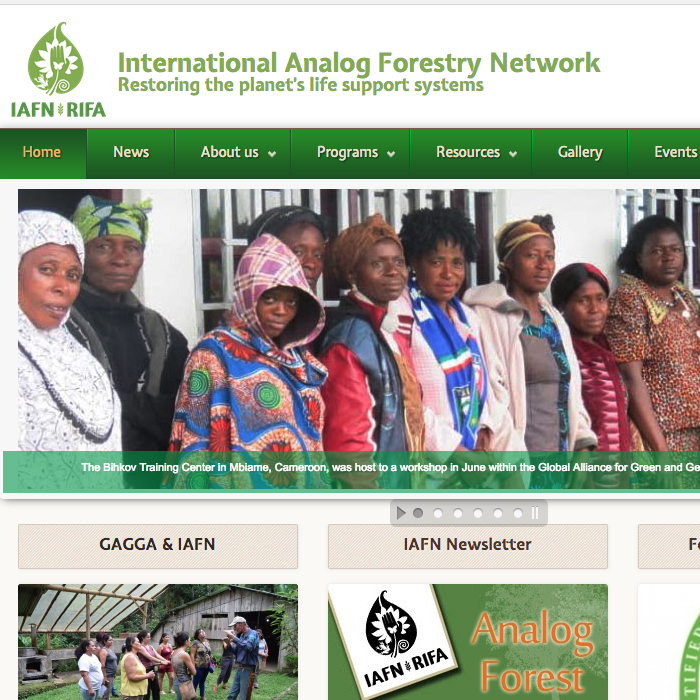 International Analog Forestry Network Link