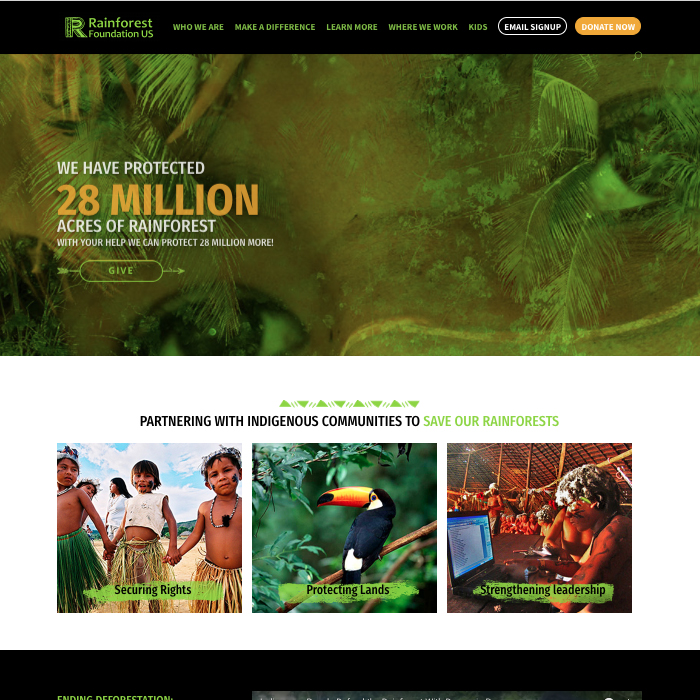 Rainforest Foundation Link