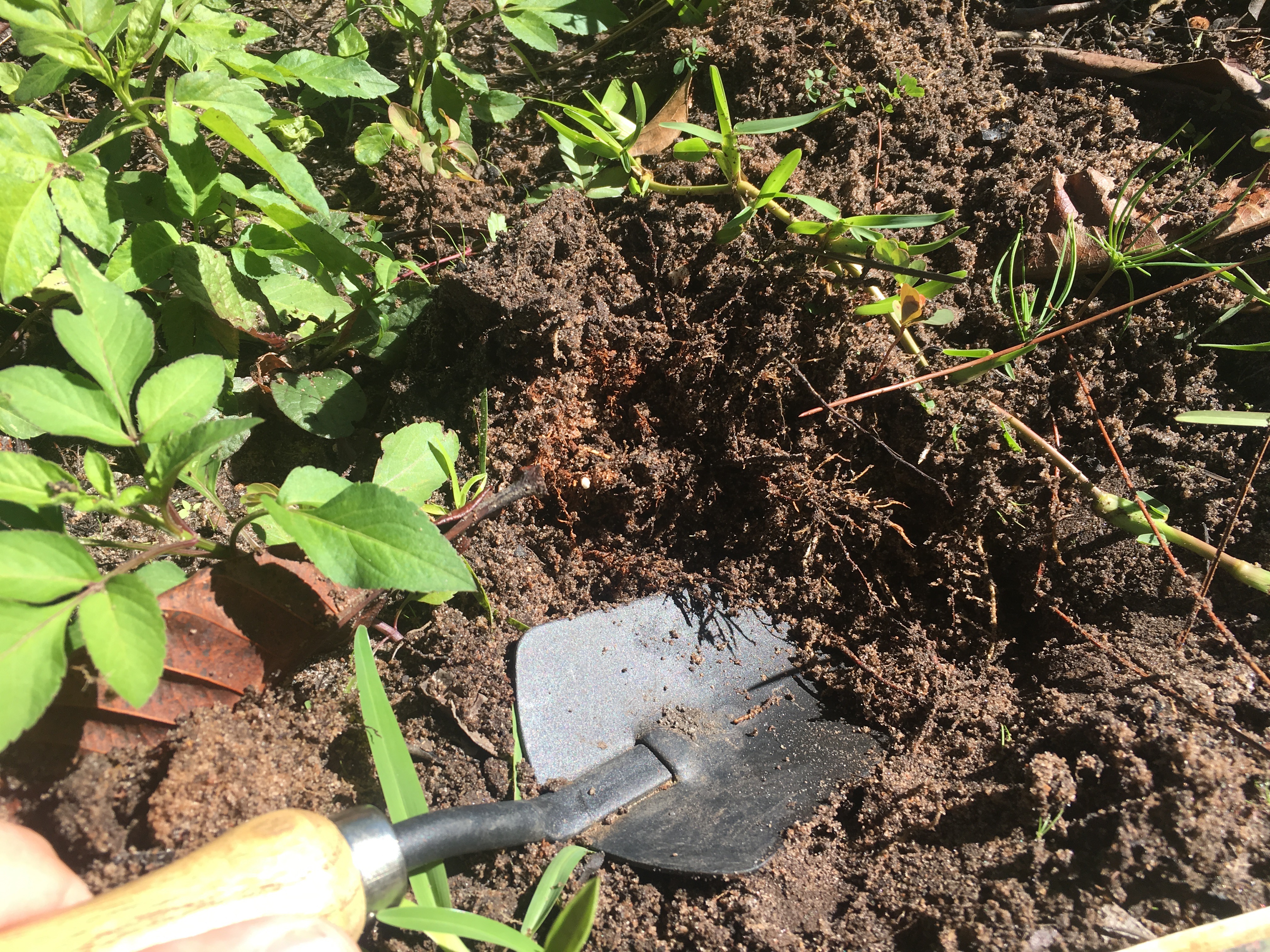 Trowel Digging