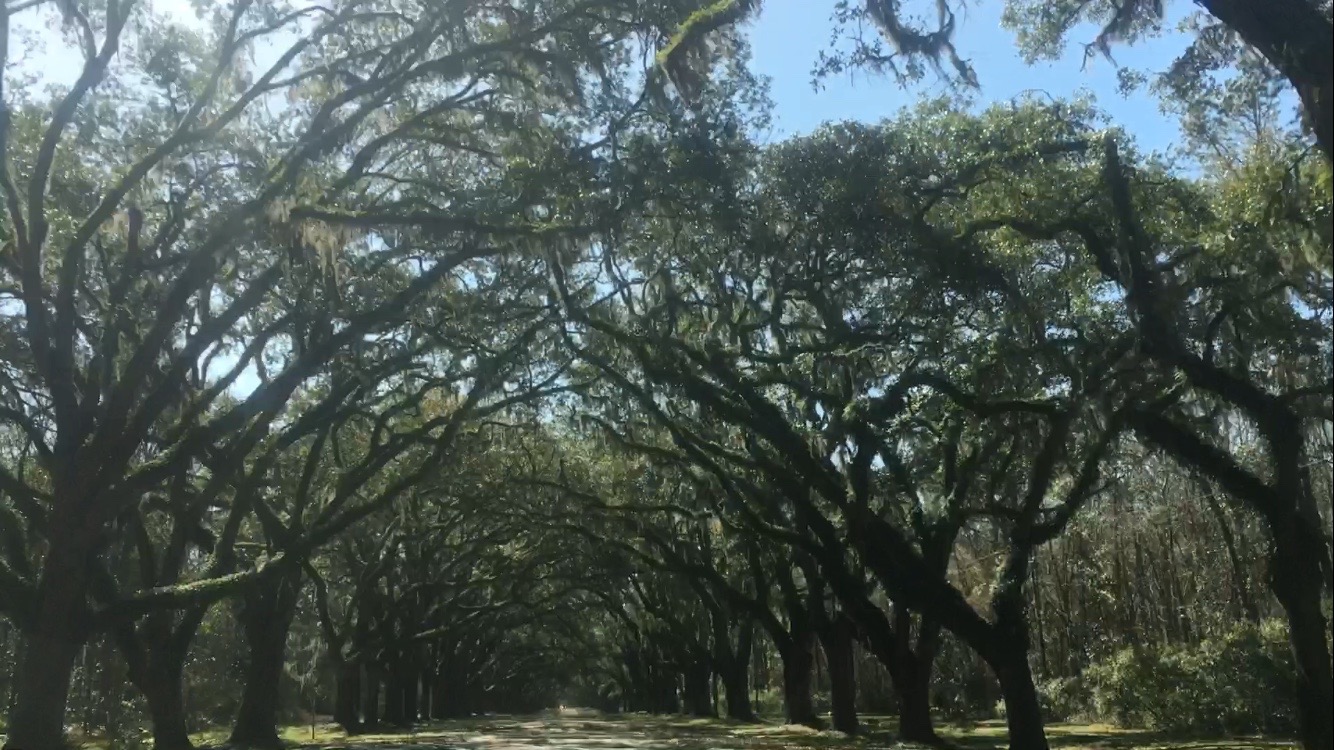 Wormsloe